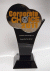 2.17.2-IT-Pro-Choice-2011-Trophy